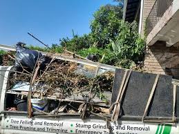 Best Attic Cleanout  in Omaha, TX